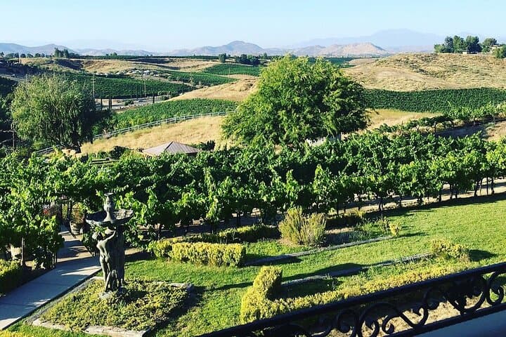 Seattle to VanArnam Vineyards Day Trip — Yakima Valley Wine Tasting photo 6