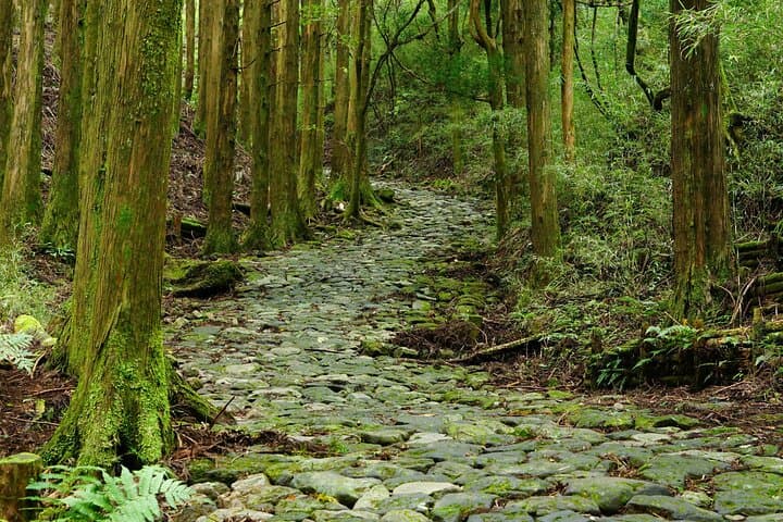 Cycle to Fuji: Odawara-to-Fuji Subaru Line Epic Ride photo 5