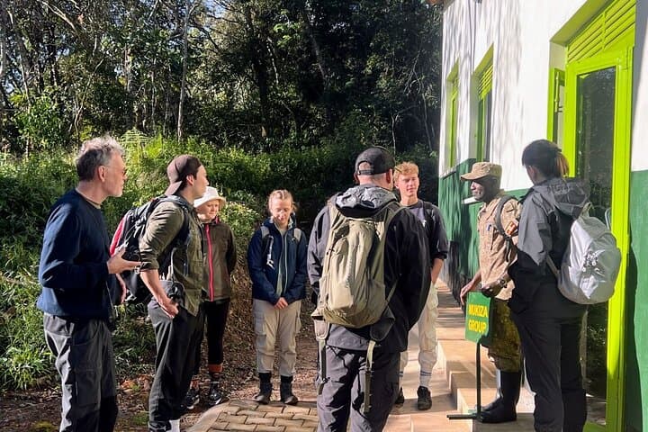 5-Day Uganda: Gorilla Trekking, Chimpanzee Tracking & Queen Elizabeth Safari photo 3