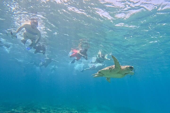 Paphos Turtle Watching: Sea-Scooter Snorkel Adventure in Cyprus photo 5