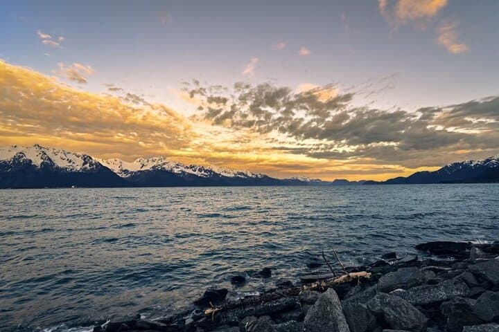 Explore Alaska’s Seward to Anchorage Day Tour: Glacier Views, Wildlife, and Coastal Wonders photo 2