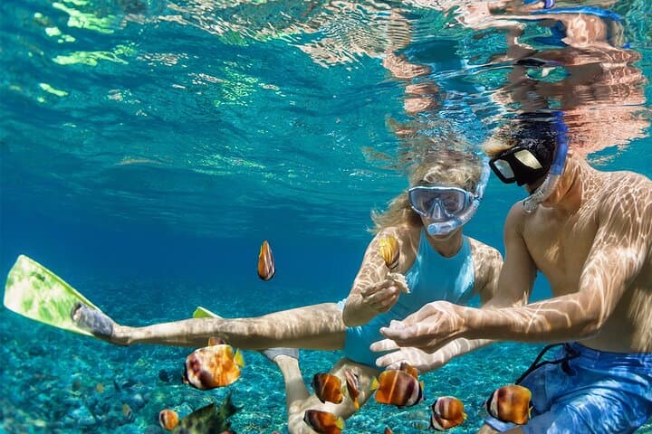Snorkel with Manta Rays at Nusa Penida: Manta Point & Manta Bay Adventure photo 2