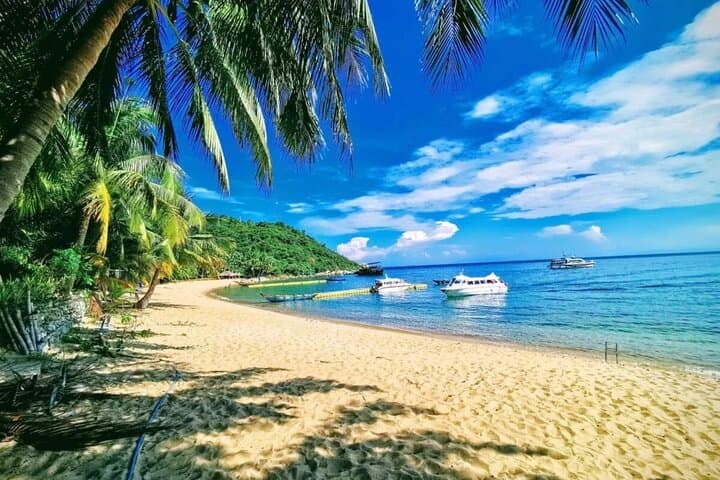 Cham Island Snorkeling & Diving Day Trip from Hoi An photo 6