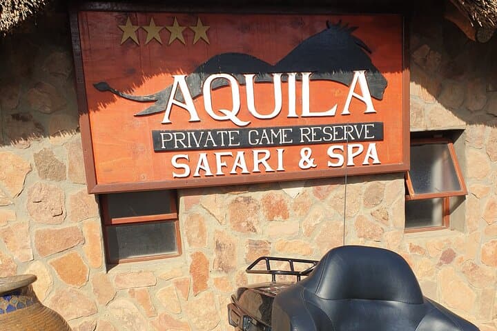 Private Big Five Safari Near Cape Town: An Accessible African Wildlife Adventure