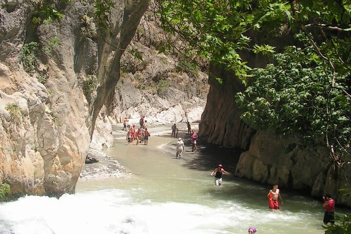 CTA Section Background Image