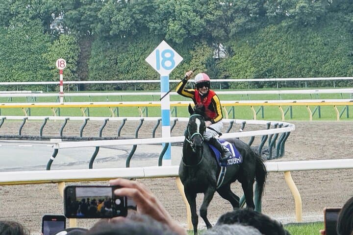 Inside Tokyo Racecourse: Horse Racing with Local Fans and Betting Basics photo 2