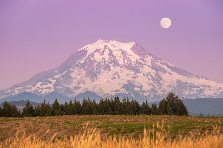Day Trip to Mt. Rainier: Crystal Mountain Gondola, Paradise & Reflection Lakes photo 2
