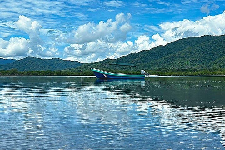 Explore Venado Island: Cultural Bus Tour, Dolphin Watching & Floating Restaurant from Puntarenas photo 4