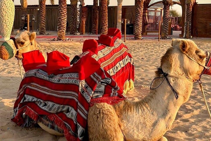 Dubai Morning Desert Safari: Quad Biking, Dune Bashing & Camel Ride photo 2