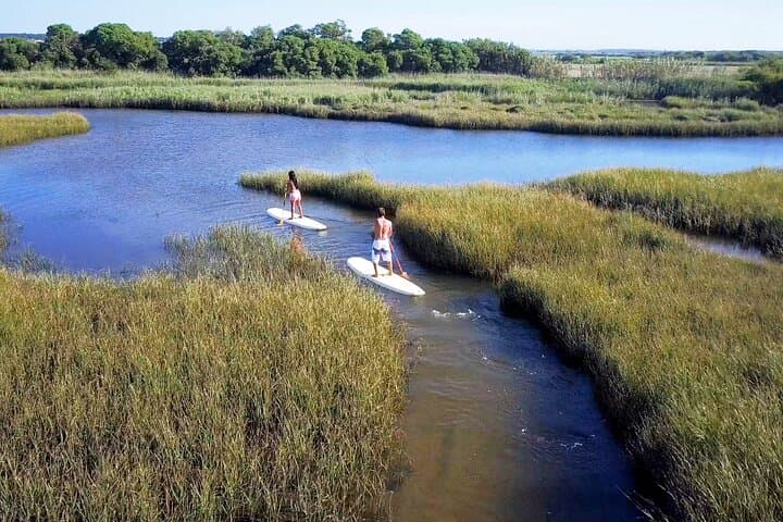 Intro to Stand Up Paddling on Hilton Head: Learn SUP in the Salt Marsh photo 2