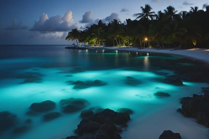 Private Bioluminescent Bay Tour in Grand Cayman — Night Snorkel & Floating Experience