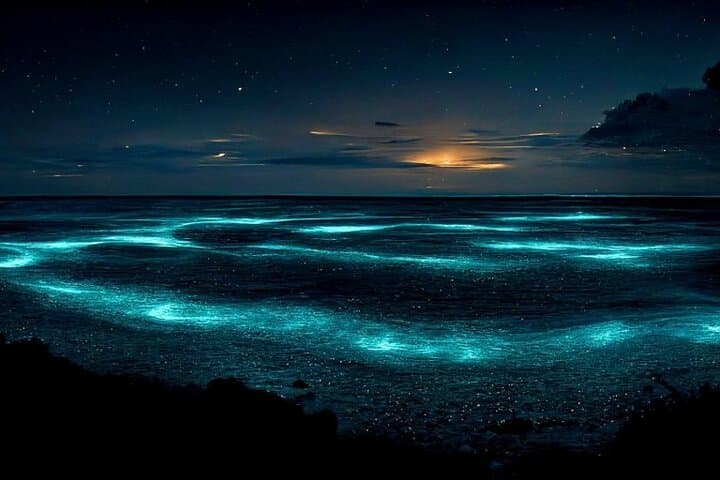 Private Bioluminescent Bay Tour in Grand Cayman — Night Snorkel & Floating Experience photo 4