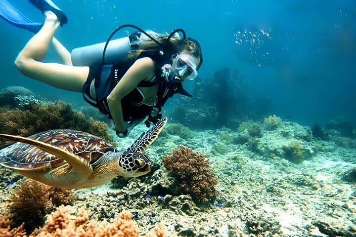 Cham Island Snorkeling & Diving Day Trip from Hoi An photo 2