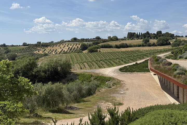 Tuscany & Pitigliano Day Tour from Rome — Wine Tasting, Lunch & Hilltop Villages photo 2
