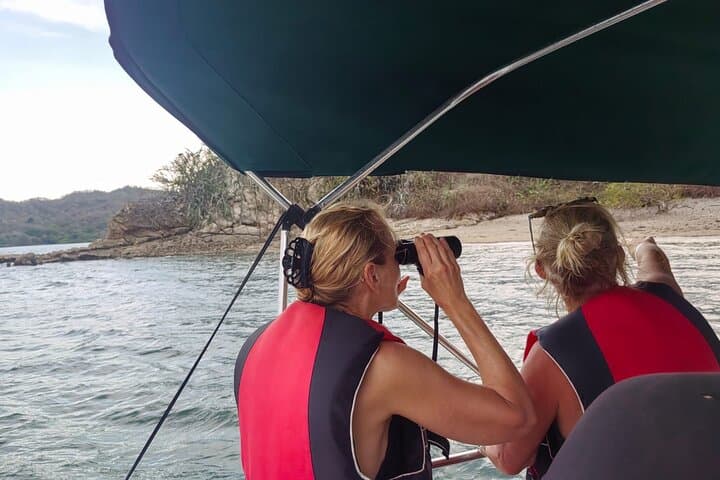 Mangrove Bird Watching and Seabirds Tour in Puntarenas — Dolphins, Mangroves & Isla San Lucas photo 4