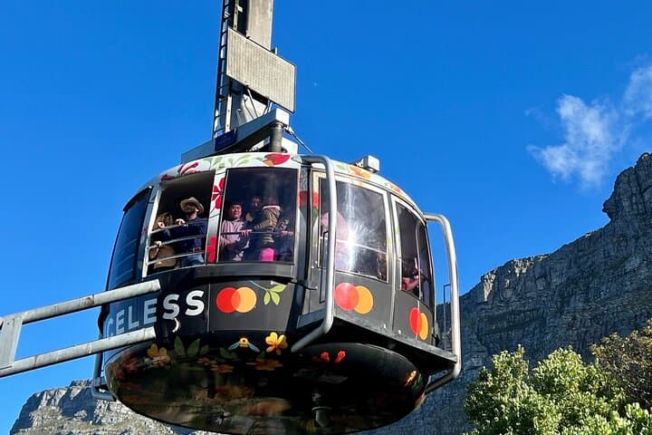 Cape Town Top 10 Super Tour — Table Mountain, Boulders Penguins & Cape of Good Hope Day Trip photo 5