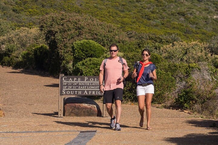 Cape Town Top 10 Super Tour — Table Mountain, Boulders Penguins & Cape of Good Hope Day Trip photo 4