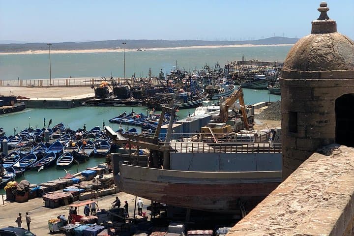 Essaouira Day Trip from Marrakech: Coastal Medina, Argan Fields & Fresh Seafood
