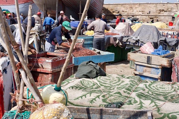 Essaouira Day Trip from Marrakech: Coastal Medina, Argan Fields & Fresh Seafood photo 2