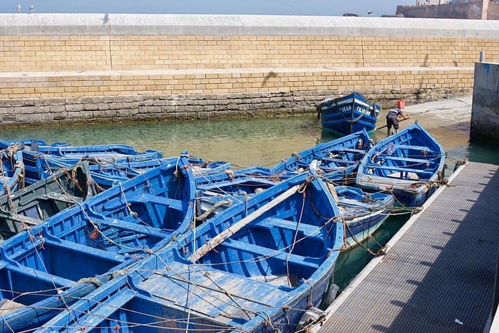 Essaouira Day Trip from Marrakech: Coastal Medina, Argan Fields & Fresh Seafood photo 4