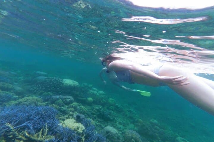 Secret Gilis Snorkeling: Private Full-Day Escape from Sekotong photo 4