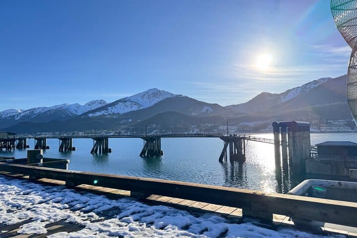 Juneau Top Sights: Mendenhall Glacier, Brotherhood Bridge & Shrine Tour photo 1