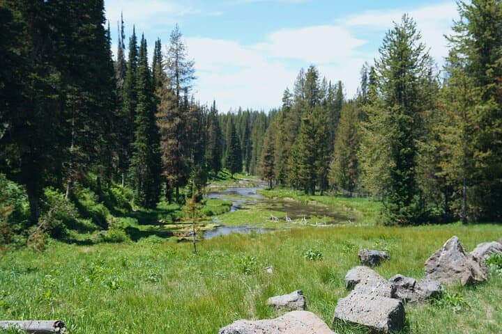 Guided ATV Tours Around Island Park: Explore Hidden Yellowstone-Area Gems photo 2