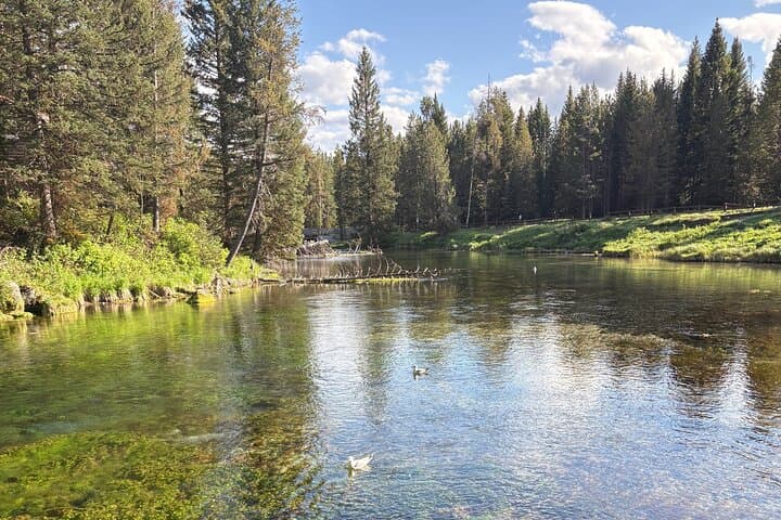 Guided ATV Tours Around Island Park: Explore Hidden Yellowstone-Area Gems photo 3