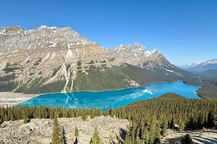 Private Spanish Tour to the Columbia Icefields from Calgary — Ice Explorer & Skywalk photo 5
