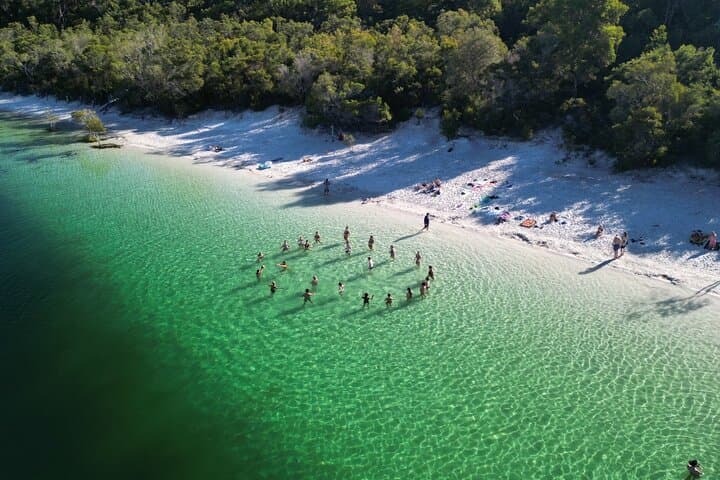 K'gari Fraser Island Small-Group 4WD Day Tour from Rainbow Beach photo 5