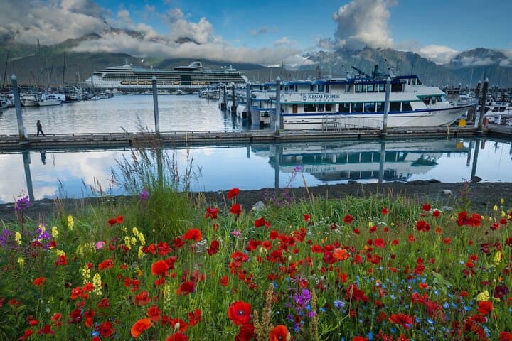 Seward to Anchorage Scenic Photo Transfer — Seward Highway Glacier, Wildlife & Turnagain Arm photo 2