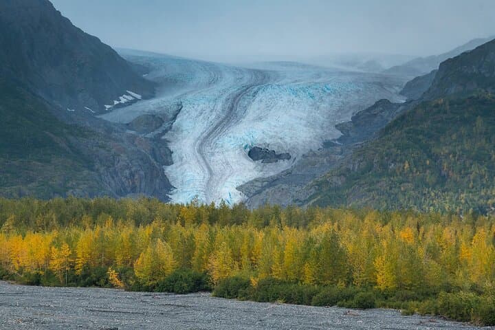Seward to Anchorage Scenic Photo Transfer — Seward Highway Glacier, Wildlife & Turnagain Arm photo 4
