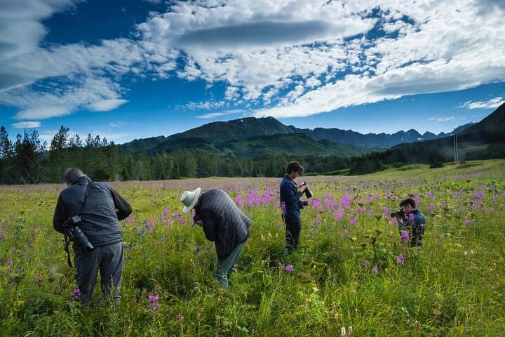 Seward to Anchorage Scenic Photo Transfer — Seward Highway Glacier, Wildlife & Turnagain Arm