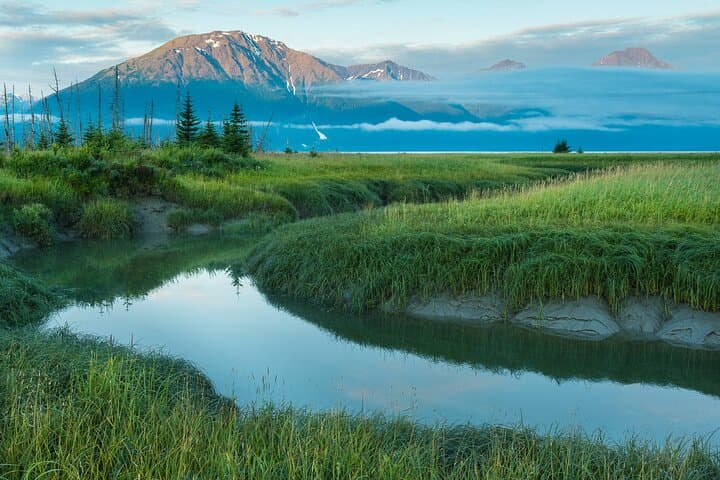 Seward to Anchorage Scenic Photo Transfer — Seward Highway Glacier, Wildlife & Turnagain Arm photo 6