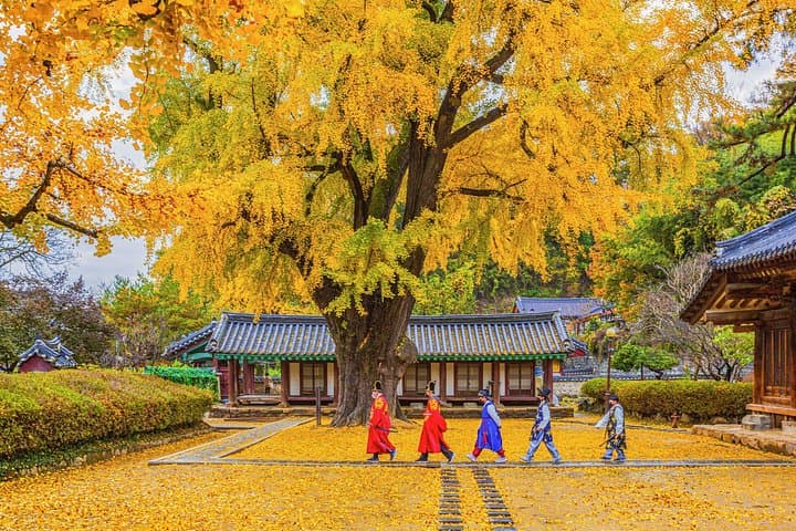Genuine Korea Experience: 2-Day Jeonju, Maisan & Damyang Cultural Tour photo 5