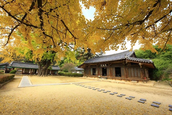 Genuine Korea Experience: 2-Day Jeonju, Maisan & Damyang Cultural Tour photo 6