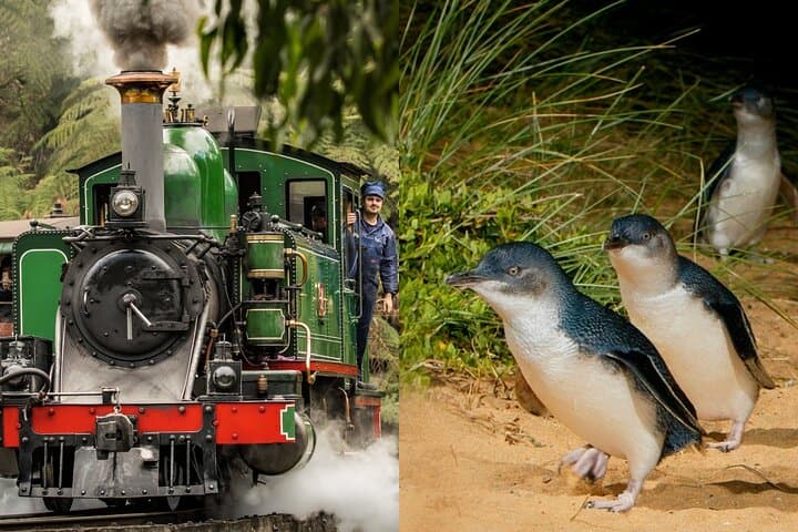 Puffing Billy & Phillip Island Penguin Parade Day Trip from Melbourne