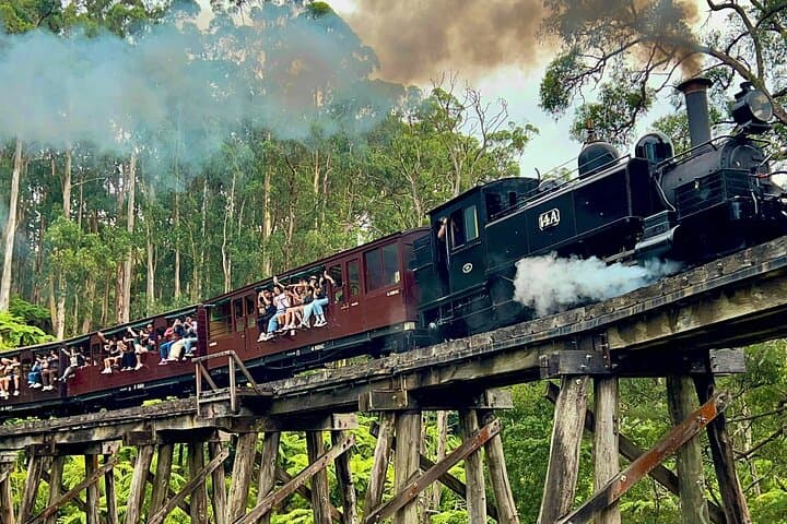Puffing Billy & Phillip Island Penguin Parade Day Trip from Melbourne photo 2