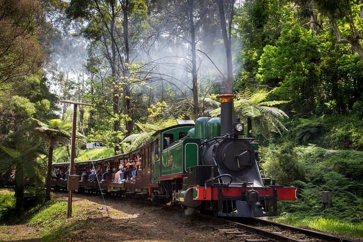 Puffing Billy & Phillip Island Penguin Parade Day Trip from Melbourne photo 6