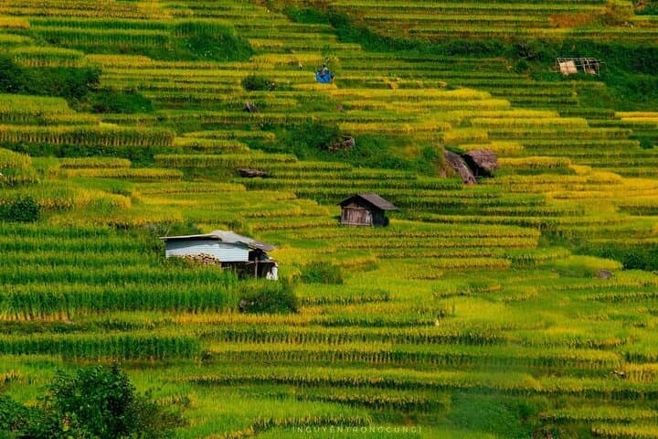 Sapa Trekking: Muong Hoa Rice Terraces, Lao Chai & Ta Van Village Homestay photo 4