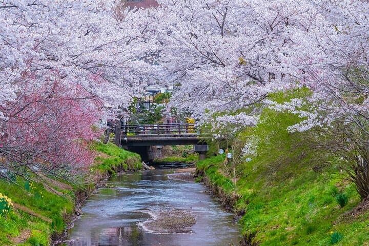 Mt Fuji and Hakone Day Trip from Tokyo with Hakone Ropeway and Lake Ashi Cruise photo 4