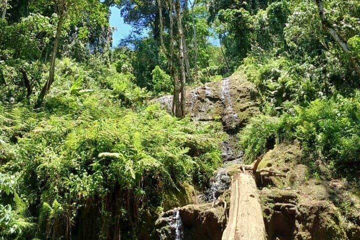 Napuru Waterfalls & Coffee Farm Tour — Arusha Day Trip to Waterfalls, Coffee & Bees photo 3