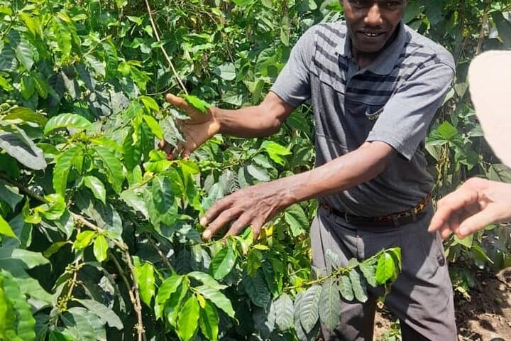 Napuru Waterfalls & Coffee Farm Tour — Arusha Day Trip to Waterfalls, Coffee & Bees photo 6