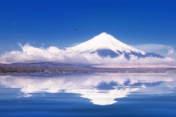 Mt Fuji and Hakone Day Trip from Tokyo with Hakone Ropeway and Lake Ashi Cruise photo 6