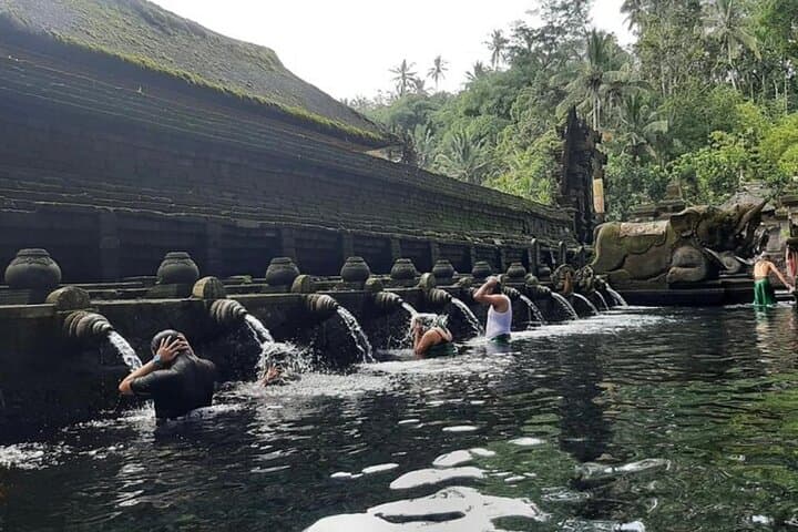Ubud Waterfall, Tirta Empul & Tegalalang Rice Terrace Private Day Tour