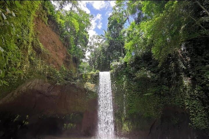 Ubud Waterfall, Tirta Empul & Tegalalang Rice Terrace Private Day Tour photo 2