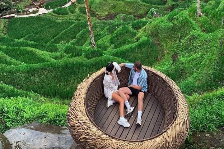 Ubud Waterfall, Tirta Empul & Tegalalang Rice Terrace Private Day Tour photo 3