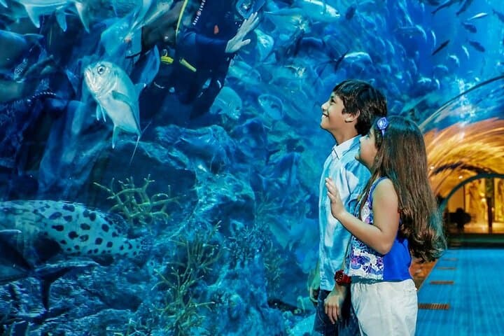 Inside Dubai's Green Planet: Tropical Rainforest Experience & Practical Visitor Guide photo 3