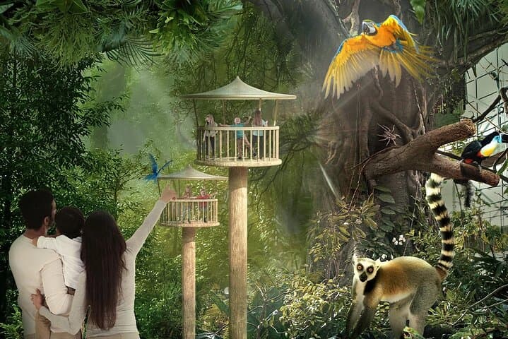 Inside Dubai's Green Planet: Tropical Rainforest Experience & Practical Visitor Guide