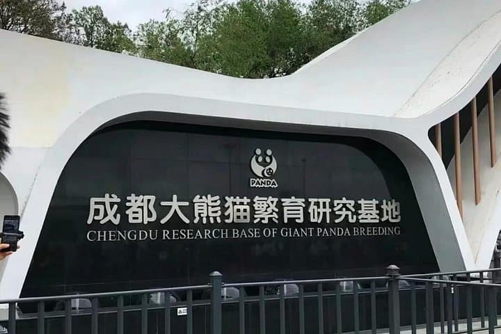 Chengdu Panda Base Half-Day Tour: See Giant Pandas Up Close (Family-Friendly) photo 2